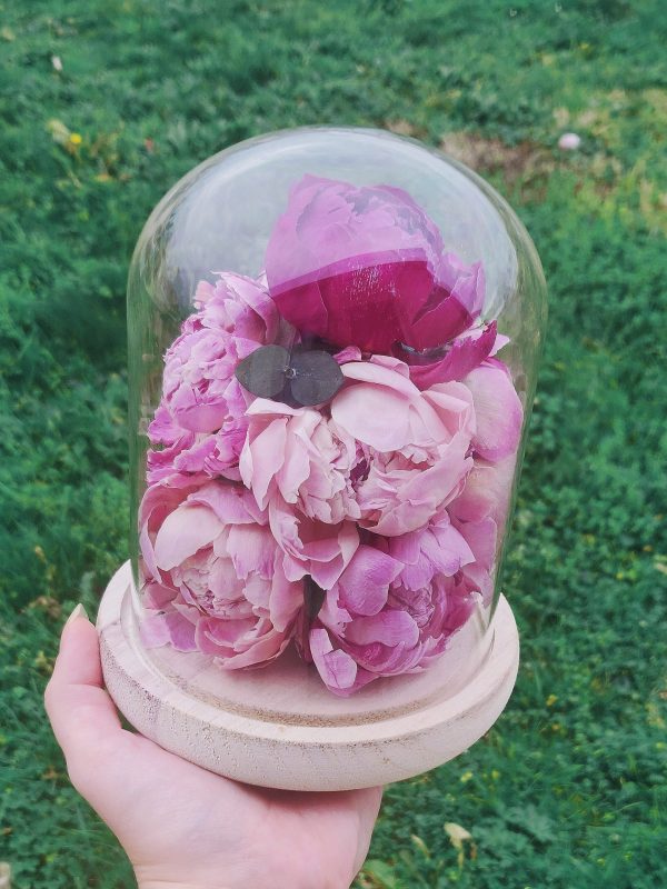 Cloche pivoines eternelle M