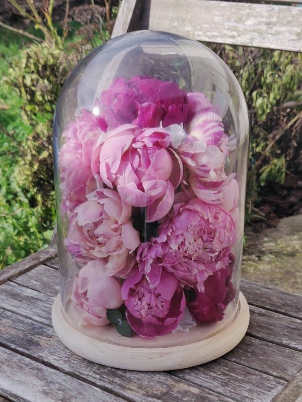 Cloche pivoines éternelles L